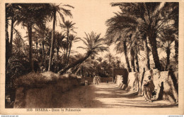 NÂ° 6291 Z -cpa Biskra -dans La Palmeraie- - Biskra