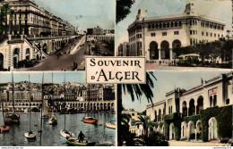 NÂ° 6002 Z -cpsm Souvenir D'Alger - Alger