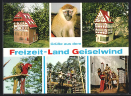 AK Geiselwind, Freizeit-Land, Papageien, Kamelreiten  - Autres & Non Classés