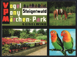 AK Geiselwind, VPM-Park Steigerwald, Modelleisenbahn, Pony  - Other & Unclassified