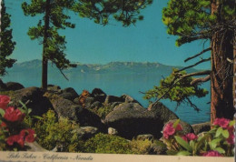 34980 - USA - Lake Tahoe - 1981 - Autres & Non Classés