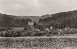 133961 - Neuhaus-Fohlenplacken - Ansicht - Holzminden