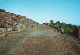 ITALIE - Solunto - Via Dell'Agorà - Strade Principale Della Città - Ditta Enza Balistreri - Carte Postale Anicienne - Palermo