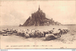 50 LE MONT SAINT MICHEL COTE OUEST ANIMEE TROUPEAU DE MOUTONS - Le Mont Saint Michel