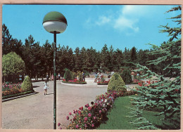 26814 / ⭐ POTENZA Basilicata Montereale Garden Jardin Public 1970s Italy Italie Italia Italien  - Potenza