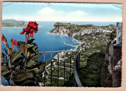 26821 / ⭐ CAPRI Campania 1957 Marina ParcoO AUGUSTO Park Italy Italie Italia Italien  - Autres & Non Classés