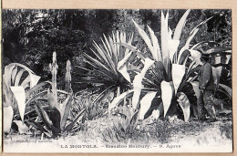 26928 / ⭐ LA MORTOLA VENTIMIGLIA Giardini Botanici Giardino HANBURY Agave Cactus  Photographie GILETTA N°9 Etat PARFAIT - Imperia