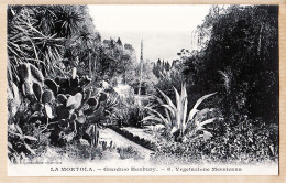 26927 / ⭐ LA MORTOLA VENTIMIGLIA Giardini Botanici Giardino HANBURY Vegetazione MESSICANA Photo. GILETTA 8 Etat PARFAIT - Imperia