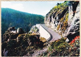 26574 / ⭐ Carte Géante 68-LA SCHLUCHT Alt. 1139m Route De MUNSTER 1960s Photo-Bromure La CIGOGNE - Autres & Non Classés