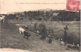 FR66 MONT LOUIS - Labouche 12 - Les Pâturages Au Dessus De La Citadelle - Vache - Belle - Other & Unclassified