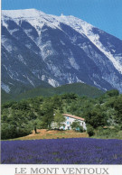 CPM - R - VAUCLUSE - LE MONT VENTOUX - VU DE LA VALLEE DU TOULOURENC - Autres & Non Classés