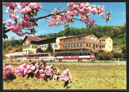 AK Reichelsheim / Odenwald, Gasthof-Cafe Zum Hohenstein  - Odenwald