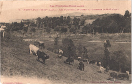 FR66 MONT LOUIS - Labouche 8 - Les Paturages Au Dessus De La Citadelle - Sonstige & Ohne Zuordnung