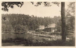 E1096 Bagnoles De L'orne Vallée De La Cour - Bagnoles De L'Orne