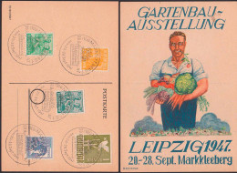 Garten Gärtner Gartenbau-Ausstellung 1947 Leipzig Markkleeberg Künstlerkarte M310/03140, Tomate Kraut - Cartas & Documentos