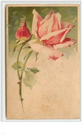 N°62 - Catharina Klein - Rose Rose - Klein, Catharina