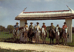 France > [13] Bouches-du-Rhône > En Camargue - Gardians Sur Leurs Montures - 9022 - Autres & Non Classés