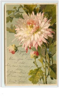 N°3109 - Catharina Klein - Chrysantheme - Meissner - Klein, Catharina