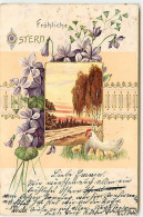 N°12970 - Carte Gaufrée - Fröhliche Ostern - Paysage, Une Poule Et Ses Poussins - Pâques