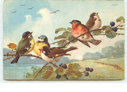 N°11910 - C. Klein - 5 Oiseaux Sur Branche - Klein, Catharina