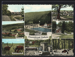 AK Vielbrunn Im Odenwald, Schwimmbad, Hainhaus, Dorfbrunnen, Schwarzwild Im Odenwald  - Odenwald