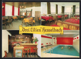 AK Hesseneck /Hesselbach, Gasthaus Und Pension Drei Lilien Mit Schwimmbecken  - Other & Unclassified