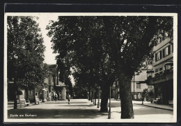 AK Freudenstadt, Partie Am Kurhaus  - Freudenstadt