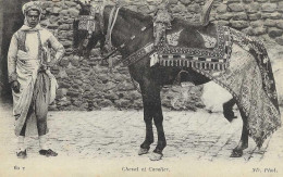 C/295               Tunisie    -  Cheval Et Cavalier - Tunisia