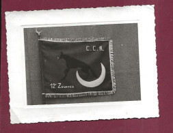 020624 - PHOTO WW2 1939 45 - Drapeau CCR 12e Zouaves - Loup Lune - Régiments