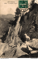 Delcampe - NÂ°7571 Z -cpa La Chasse Ã  L'Izard Dans Les PyrÃ©nÃ©es- - Jagd
