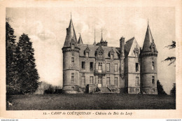 NÂ°7431 Z -cpa Camp De CoÃ«tquidan -chÃ¢teau Du Bois Du Loup- - Castles