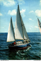 Delcampe - NÂ°7402 Z -cpsm CÃ'te Belge -un Voilier- - Segelboote