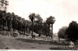 NÂ°7353 Z -cpsm Pau -la Palmeraie Et L'avenue De La Gare- - Pau