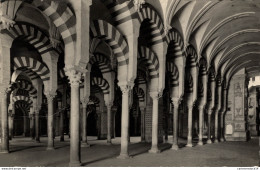 Delcampe - NÂ°7295 Z -cpsm Cordoba - - Córdoba