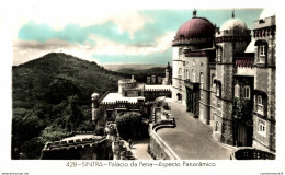 NÂ°7239 Z -cpsm Sintra -palacio Da Pena -aspecto Panoramico- - Lisboa