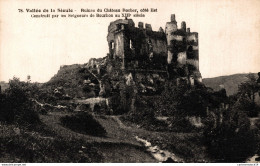 Delcampe - NÂ°7177 Z -cpa Ruines Du ChÃ¢teau Rocher -vallÃ©e De La Sioule- - Castillos