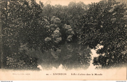 NÂ°8052 Z -cpa LIverdun -reflet D'arbres Dans La Moselle- - Liverdun