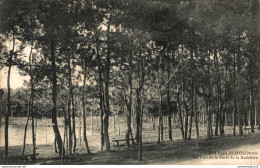 NÂ°8019 Z -cpa Les Sables D'Olonne -les Pins De La ForÃªt De RudeliÃ¨re- - Sables D'Olonne