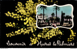 NÂ°7765 Z -cpsm Souvenir De HyÃ¨res Les Palmiers- - Gruss Aus.../ Grüsse Aus...