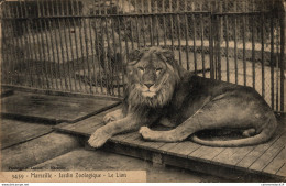 NÂ°8535 Z -cpa Marseille -jardin Zoologique -le Lion- - Lions