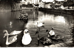 NÂ°8398 Z -cpsm BellÃªme -piÃ¨ces D'eau Des Douves- - Autres & Non Classés