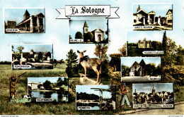 NÂ°9125 Z -cpsm Payasage De Sologne -multivues- - Pays De La Loire