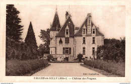 NÂ°9038 Z -cpa Vallon En Sully -chÃ¢teau Des Prugnes- - Autres & Non Classés