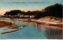 NÂ°8958 Z -cpa Cap-Breton -les Pins Maritimes Du Bouret- - Capbreton