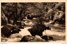 NÂ°9551 Z -cpa Fontaine De Vaucluse -cascades Et Rochers- - Autres & Non Classés