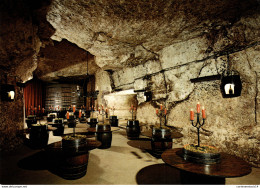 NÂ°10423 Z -cpsm Caves Gratien & Meyer -Saumur- - Vignes