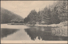 The Reservoir, Wainui-O-Mata, Wellington, 1905 - Fergusson Postcard - Nouvelle-Zélande