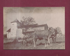 020624 - PHOTO ANCIENNE - Maison Ferme Quercynoise Attelage De Boeuf Labour Paysan - Fermes