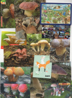 15 Mushroom Calendars Czech Republic - Petit Format : 2001-...