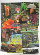 15 Mushroom Calendars Czech Republic - Petit Format : 2001-...